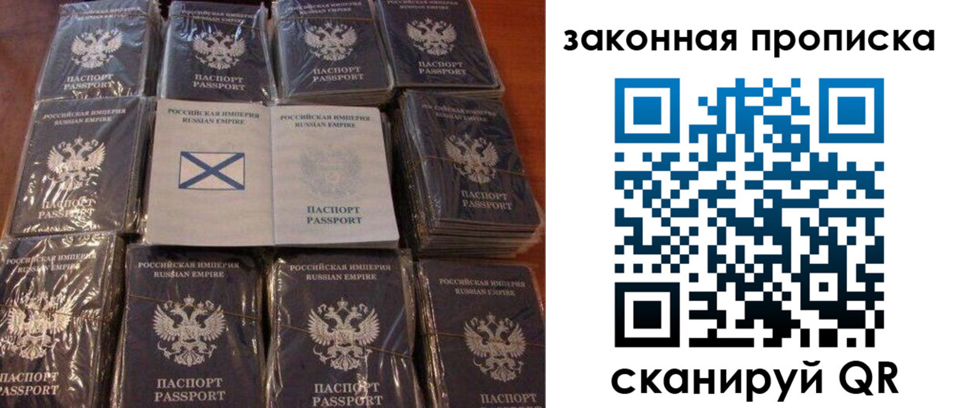 прописка для школы в Ртищево